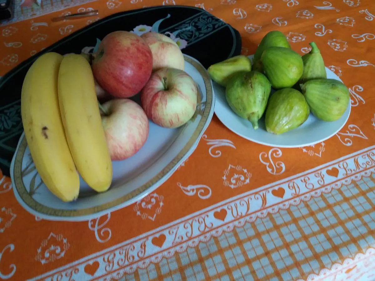 Guest house Pashko Vasa Guesthouse Shkoder