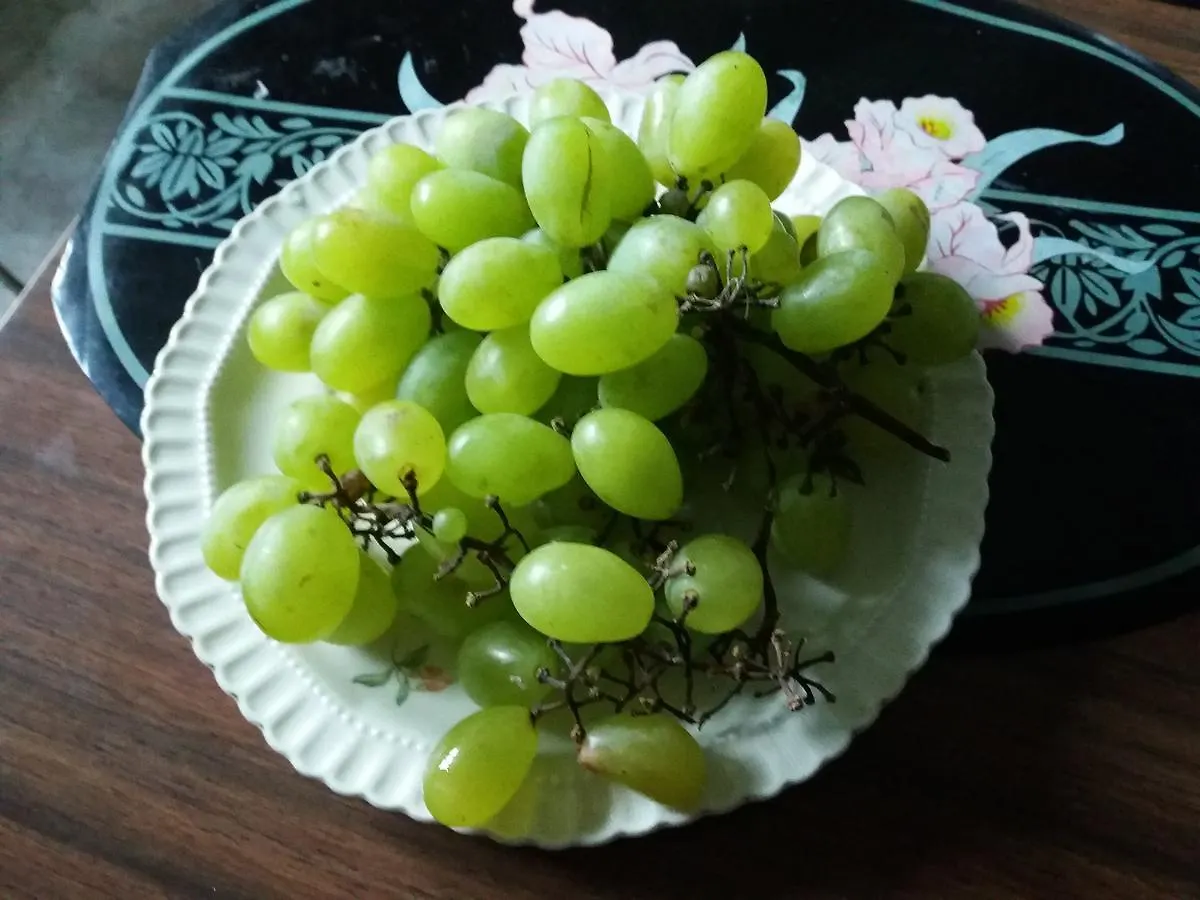 Guest house Pashko Vasa Guesthouse Shkoder